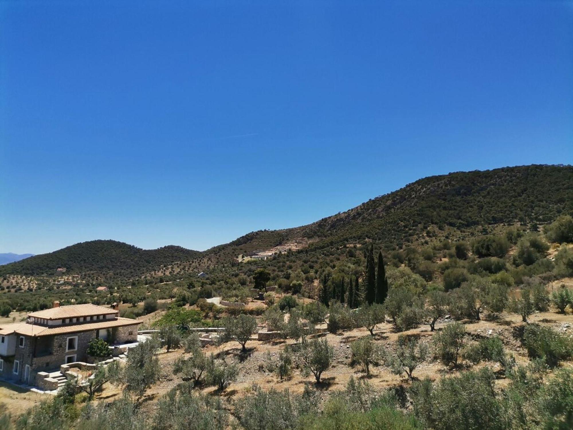 Saronic Citadel Seaside Villa Đảo Đảo Salamis Ngoại thất bức ảnh